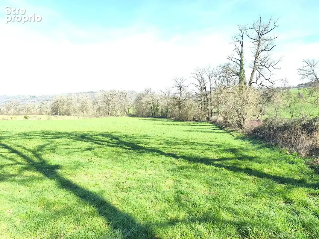 Terrain 13210m² à bagnac-sur-célé - photo 3
