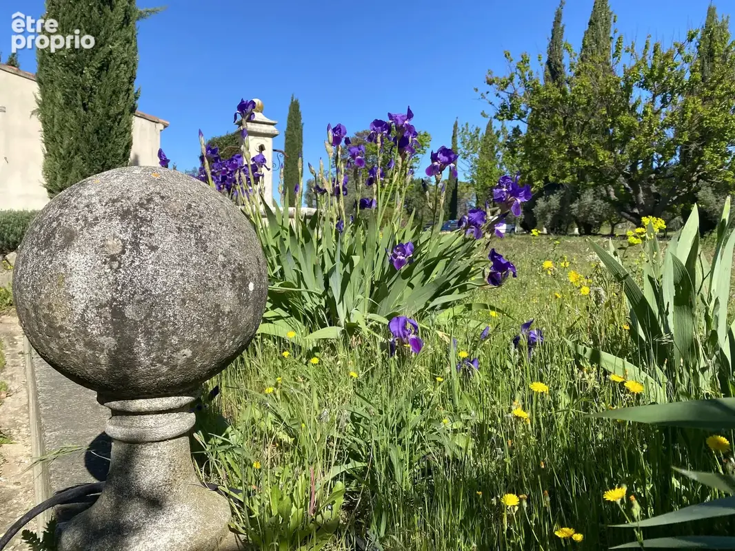 Sud luberon   domaine viticole de 39 ha avec bastide de caractère - photo 5