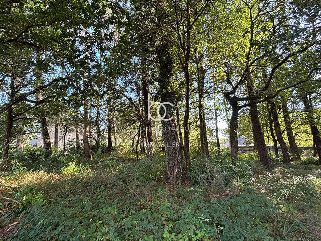 Terrain à VANNES