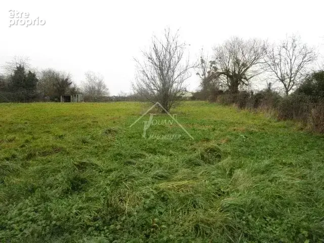 Terrain à VARENNES-SUR-ALLIER