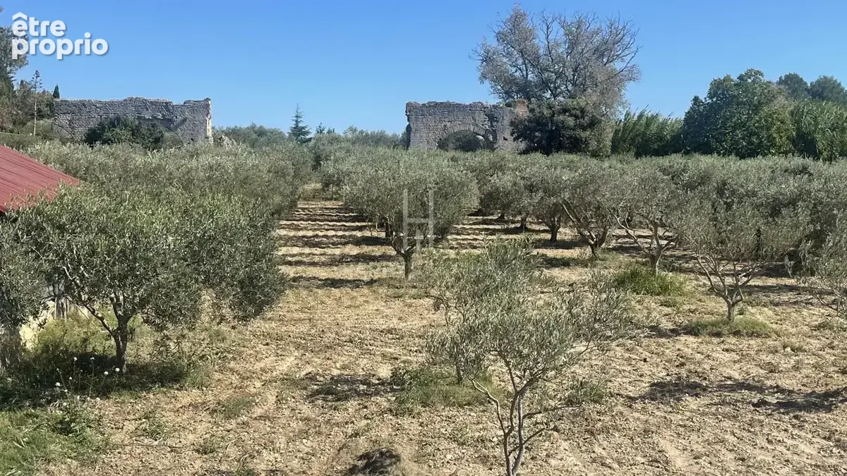 Propriété Alpilles Sud  dans site exceptionnel et protégé - photo 7