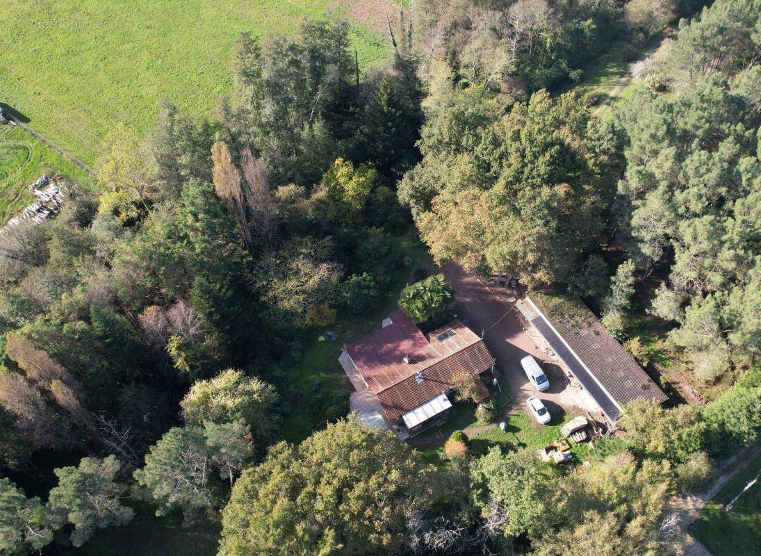 Terrain à BOISREDON