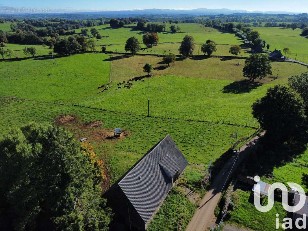 Photo 2 - Maison à CHAUSSENAC
