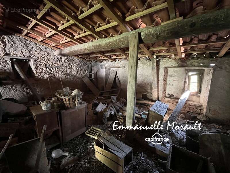 Commerce à BAGNOLS-EN-FORET