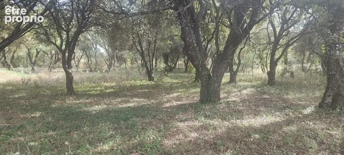 Terrain à GRIGNAN
