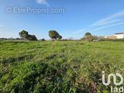 Photo 1 - Terrain à PERPIGNAN