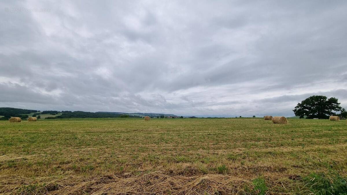 Photo 1 - Terrain à MONS