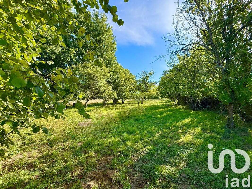 Photo 6 - Maison à MYENNES