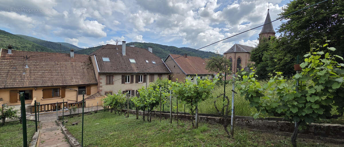 Maison à WISCHES