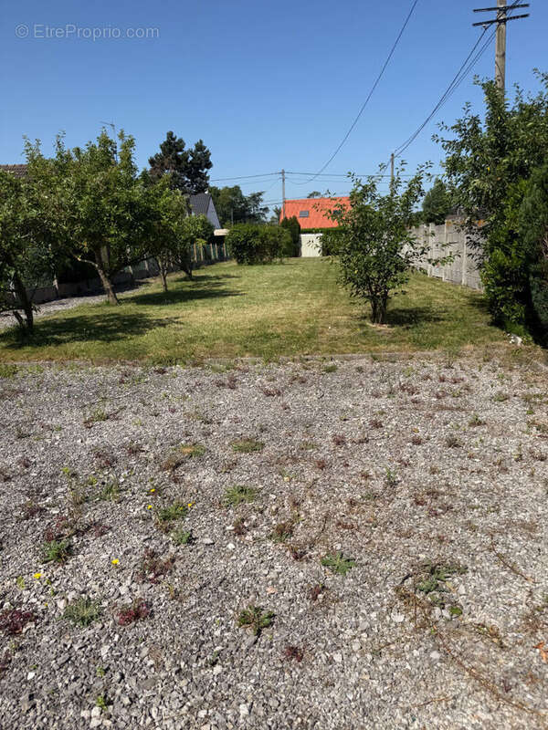 Terrain à COULOGNE