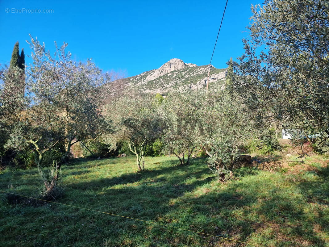 Terrain à SAINT-HIPPOLYTE-DU-FORT