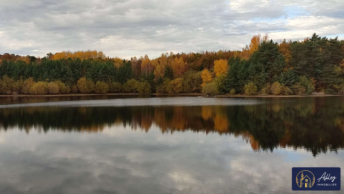 Terrain proche lac Neuvic - Terrain à NEUVIC