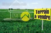 Terrain à ALLOGNY