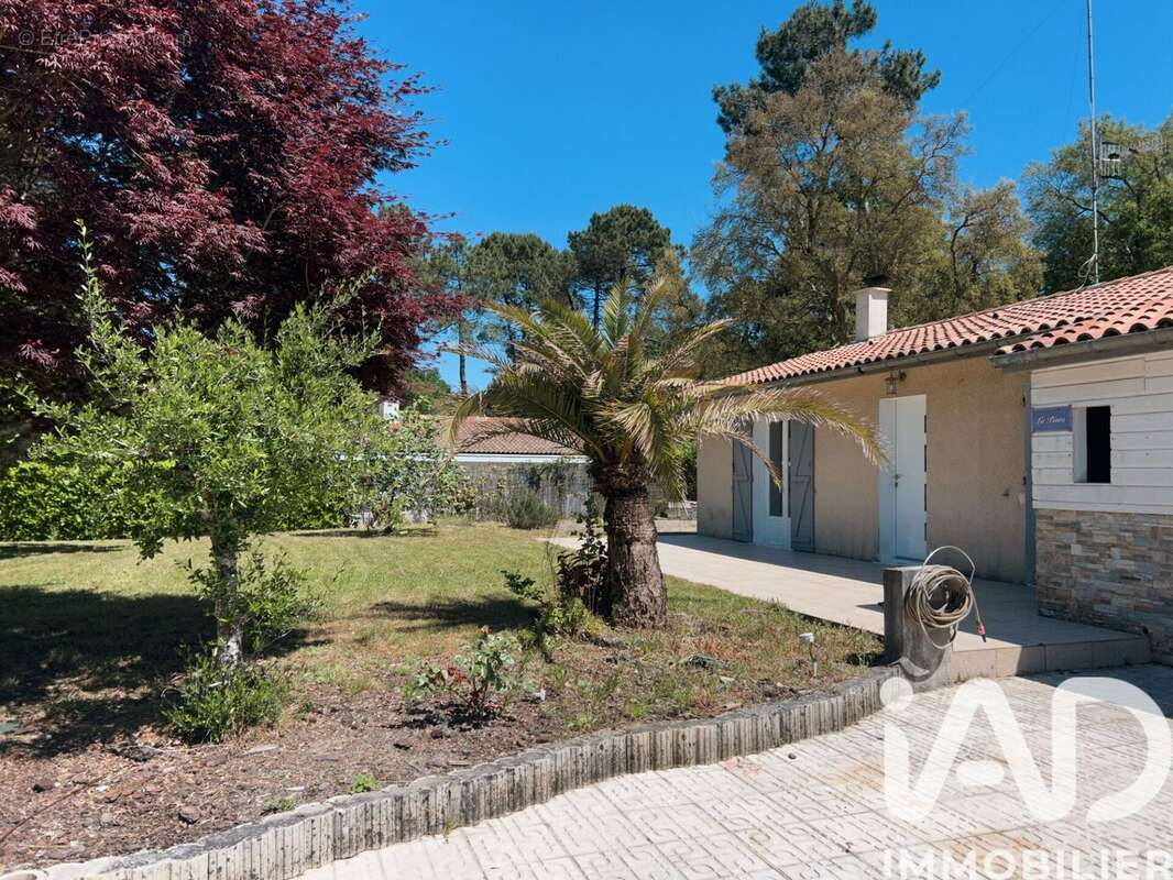 Photo 3 - Maison à SEIGNOSSE