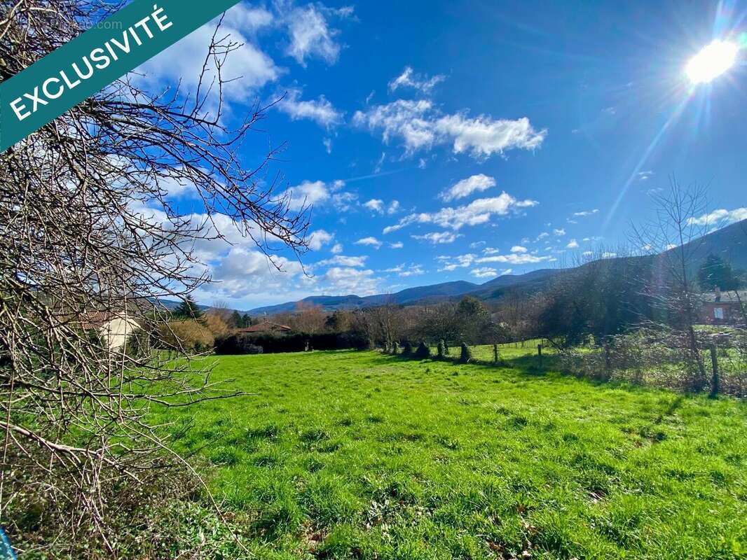 Photo 4 - Terrain à SAINT-AMANS-SOULT