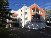 Commerce à SAINT-ETIENNE