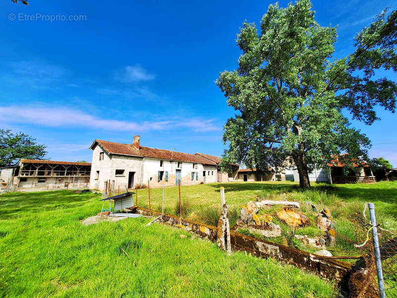 Corps de ferme à aménager avec dépendances et plus de 7 000 m² de terrain  Plaisance-du-Gers - photo 28