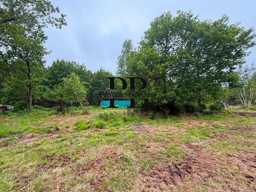 Terrain à VENDAYS-MONTALIVET