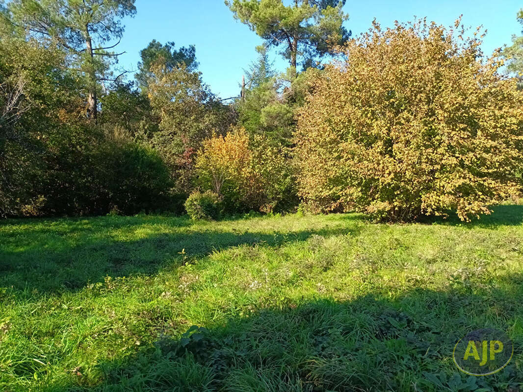 Terrain à QUESTEMBERT