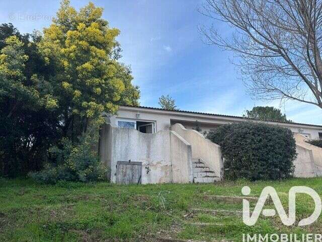 Photo 3 - Appartement à SARI-SOLENZARA