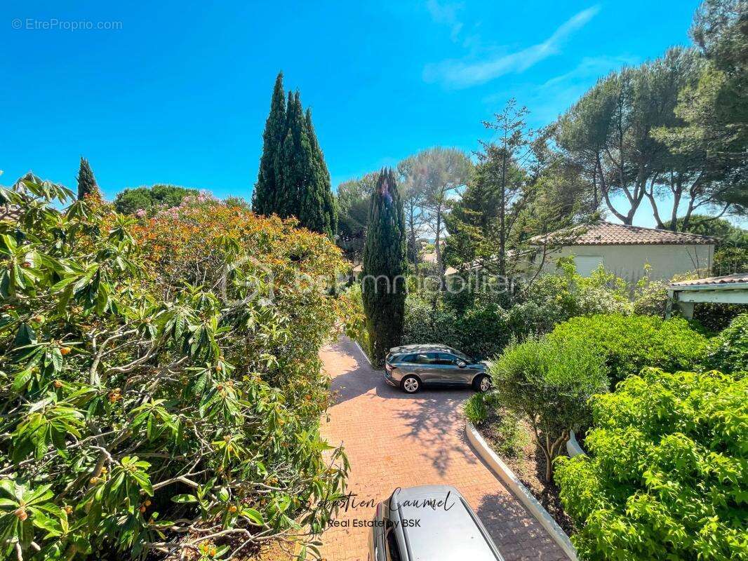 Villa d'architecte · DPE B · Piscine · Terrain 1 607 m² · Saint-Jean-de-Védas (34430) · Montpellier Ouest - photo 5