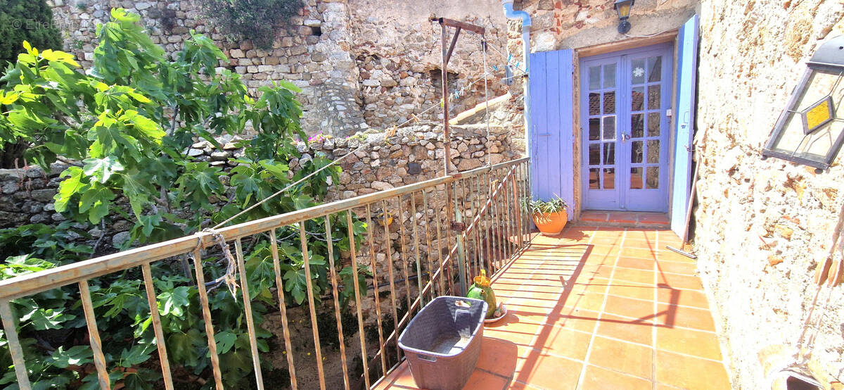 Maison à MONTALBA-LE-CHATEAU