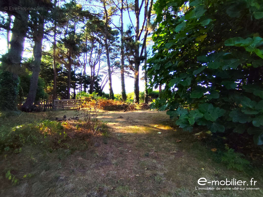 Maison 73 m² à Groix  - photo 5