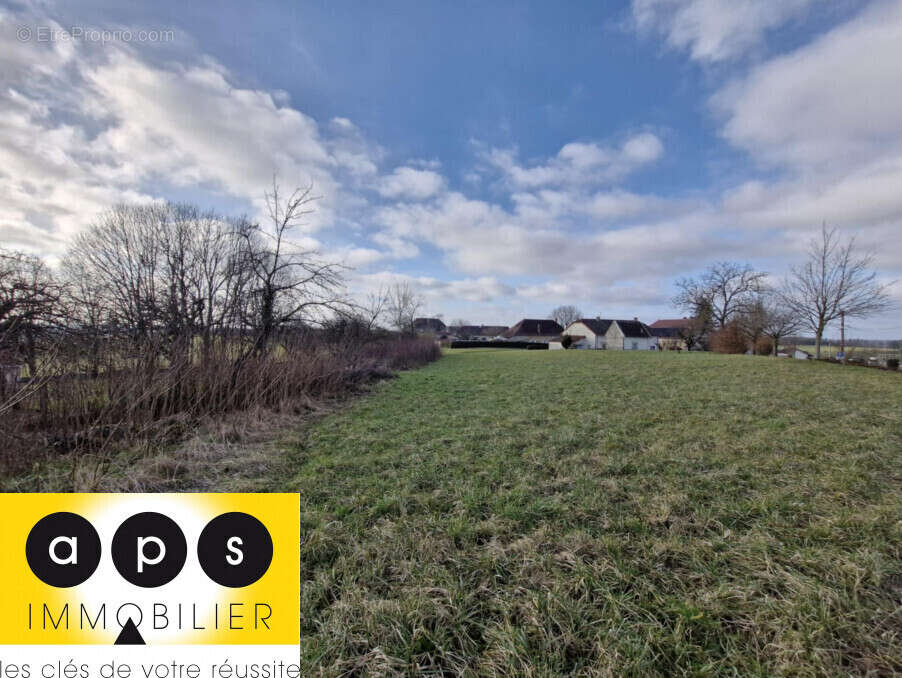 Terrain à POLIGNY
