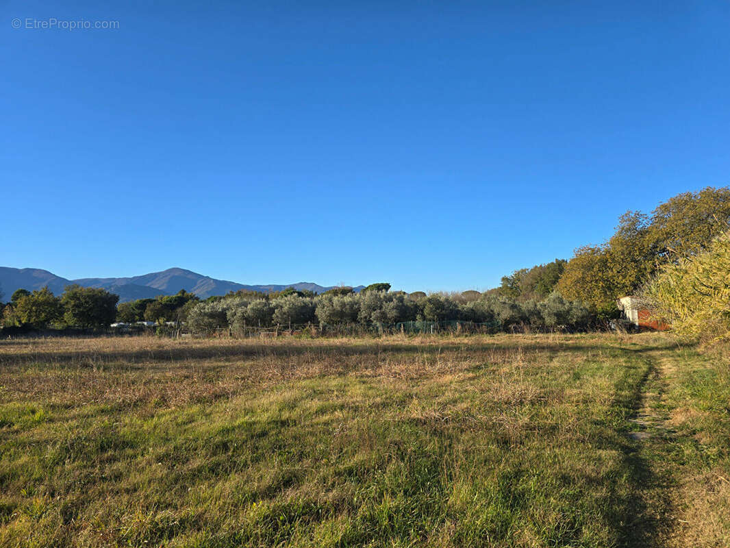 Terrain à ARGELES-SUR-MER