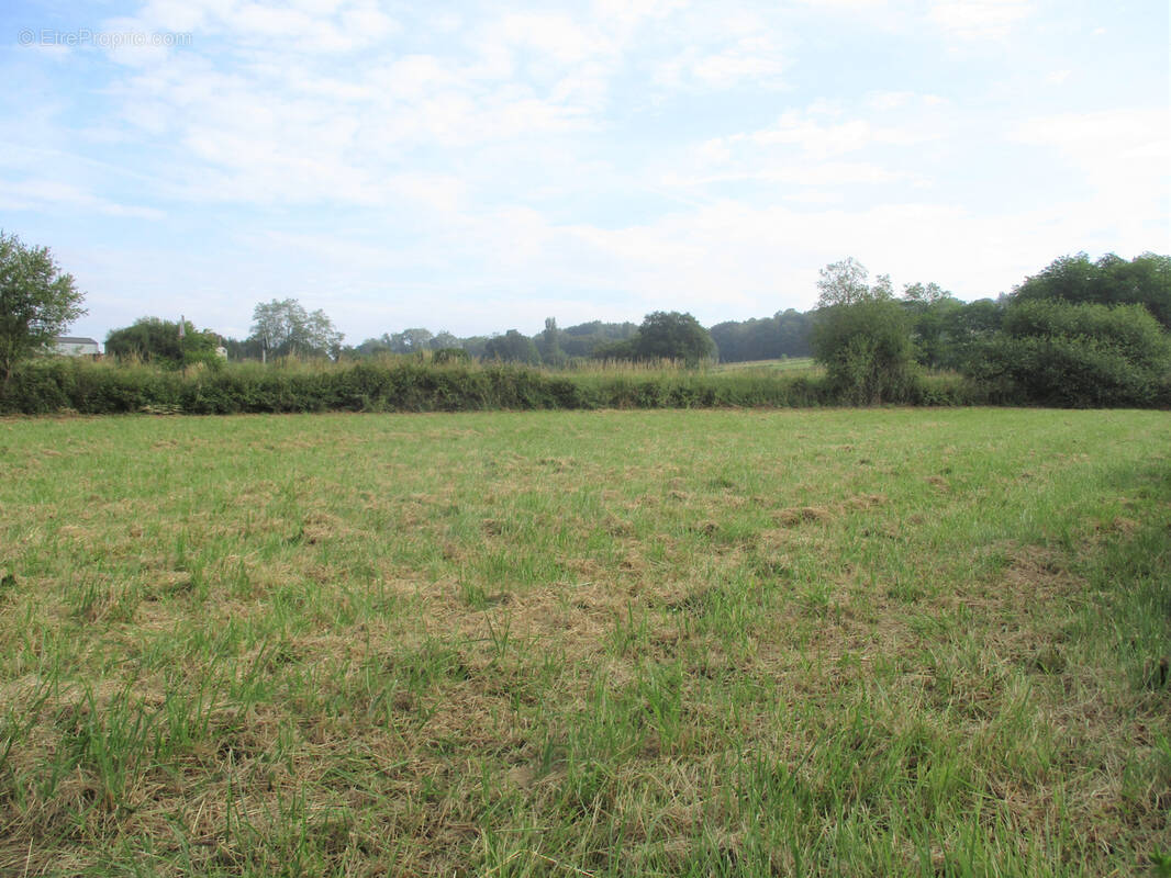 Terrain à NAVARRENX