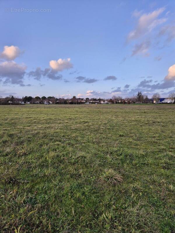 Terrain à CHATEAUBERNARD