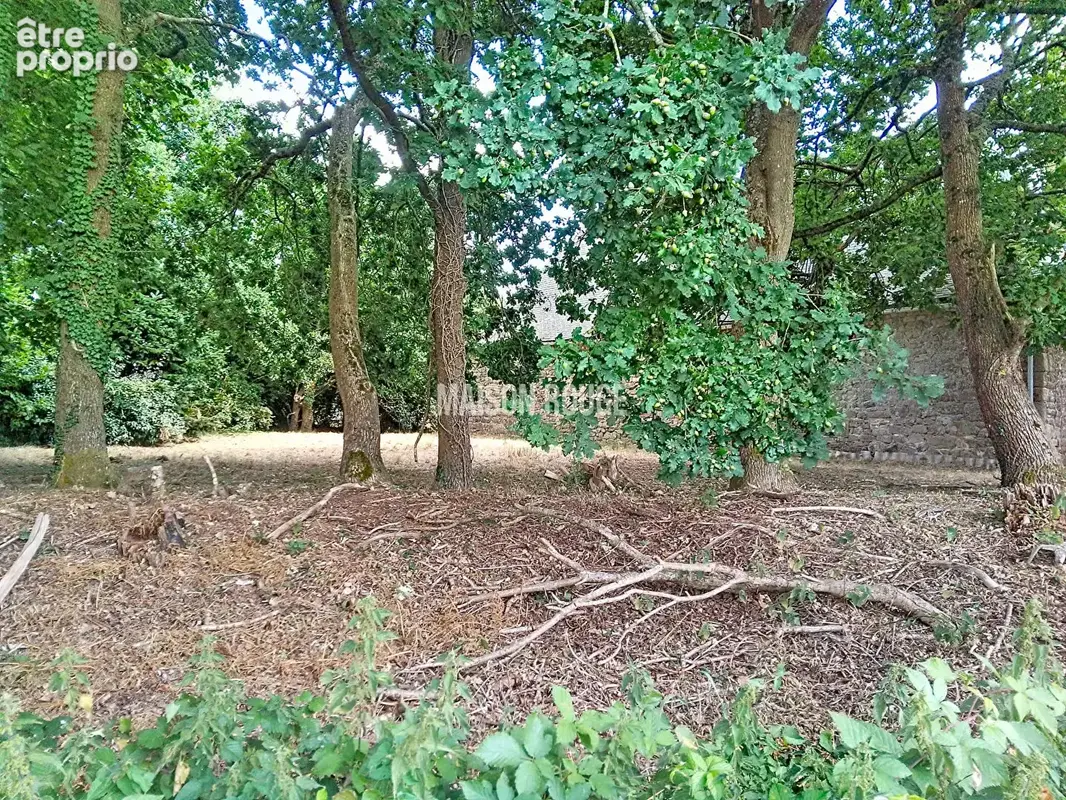 Saint-brandan : authentique longere à rénover avec fort potentiel - photo 16