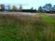 Terrain à REUILLY