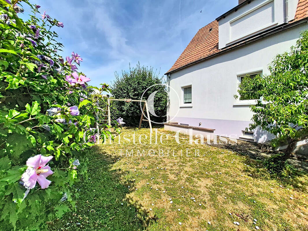 Maison Sundhoffen 7 pièces 168m2 - photo 2