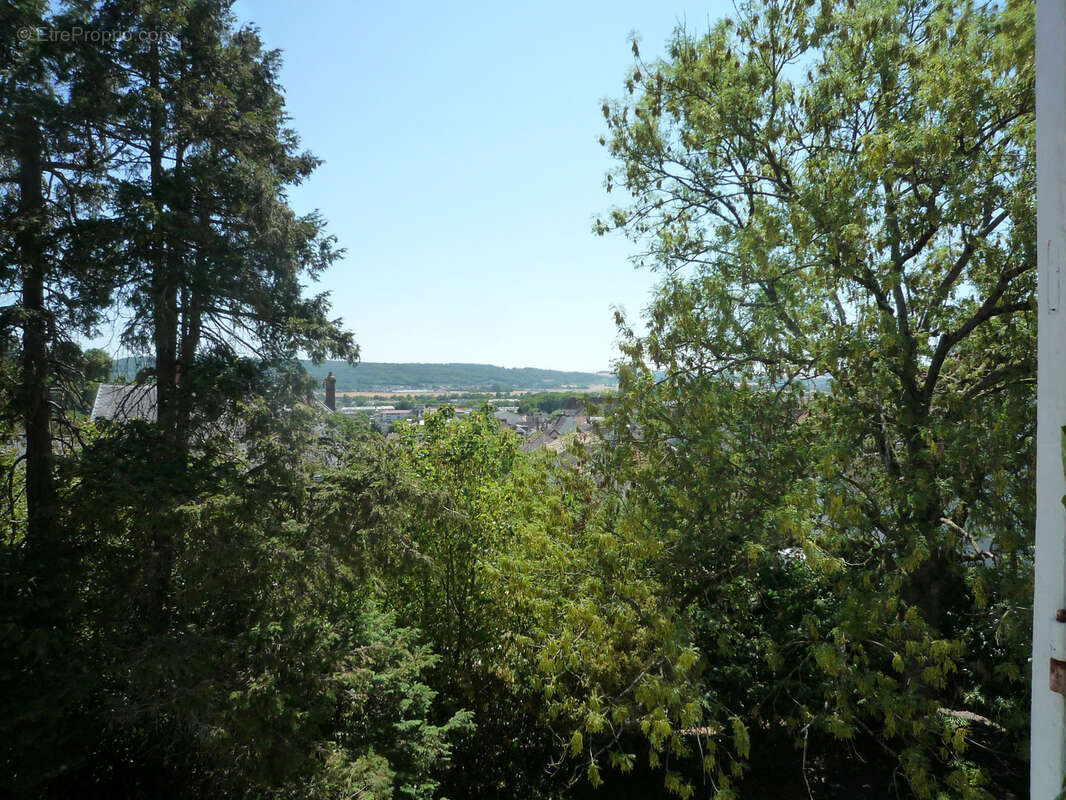 CHATEAU THIERRY  à vendre belle maison bourgeoise de 254 m2 dans un parc clos de 1372 m2 - photo 12