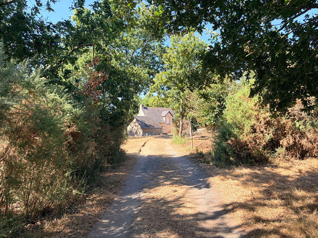Ensemble GUEMENE-PENFAO Maison, dépendances sur  1 Hectare 4 de terrain - photo 13