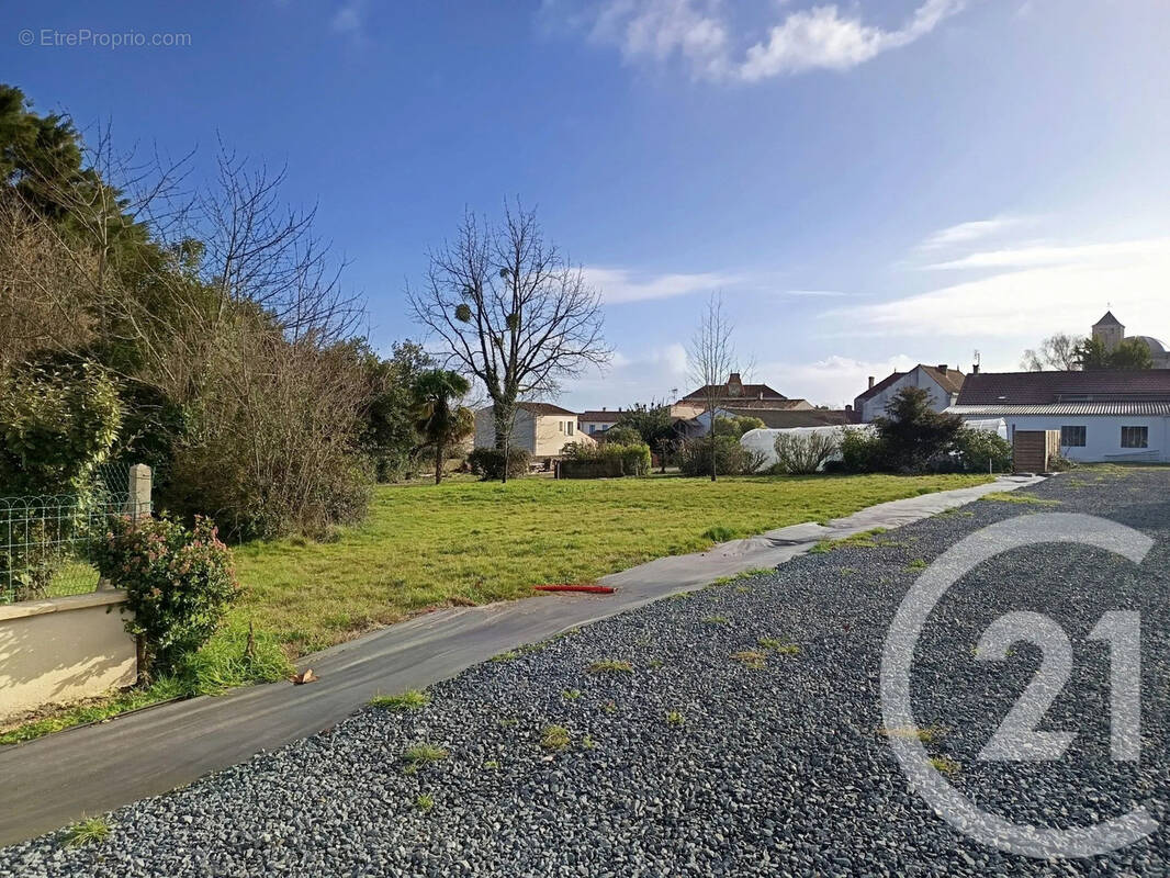 Terrain à SAINT-ROMAIN-DE-BENET