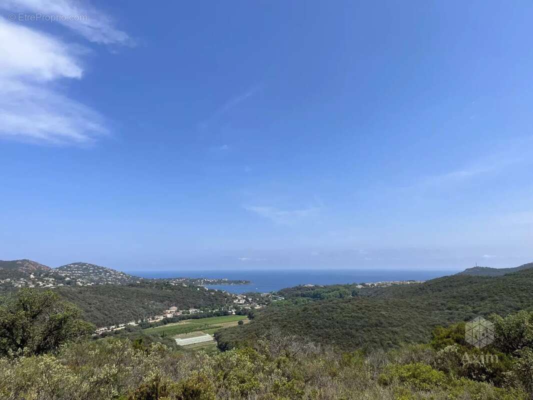 Terrain à SAINT-RAPHAEL