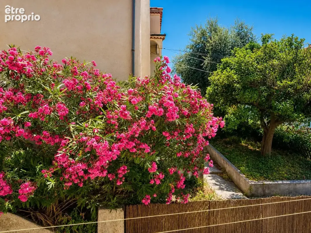 NICE  Quartier des Poètes - 2 pièces 53 m²  Calme  DPE C - photo 8