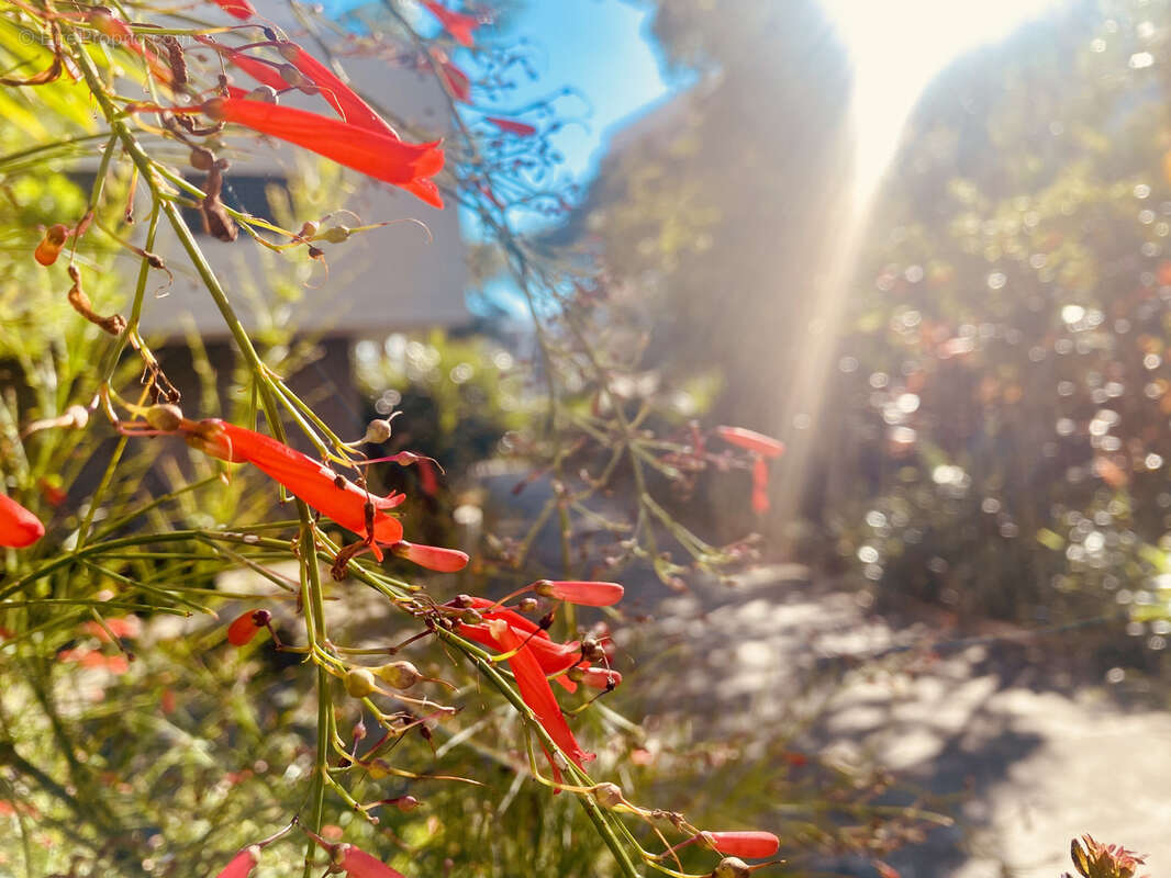 Terrain à SAINTE-MARIE