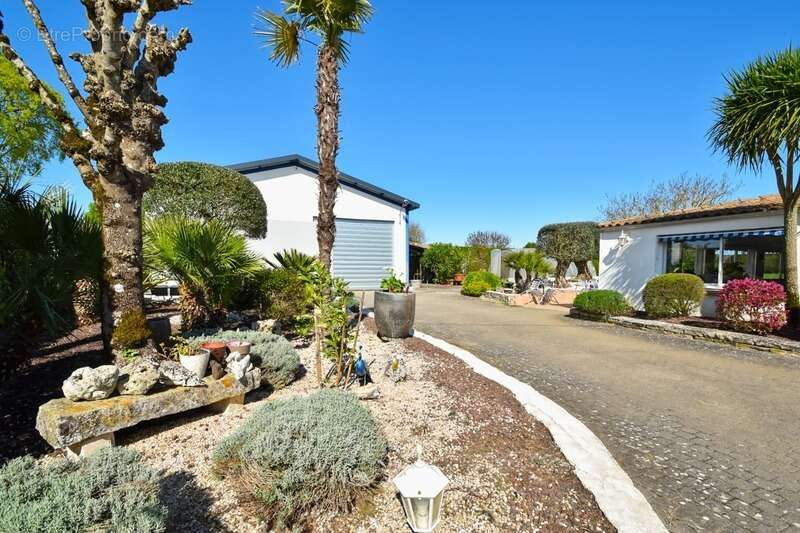 Maison à AIGREFEUILLE-D&#039;AUNIS