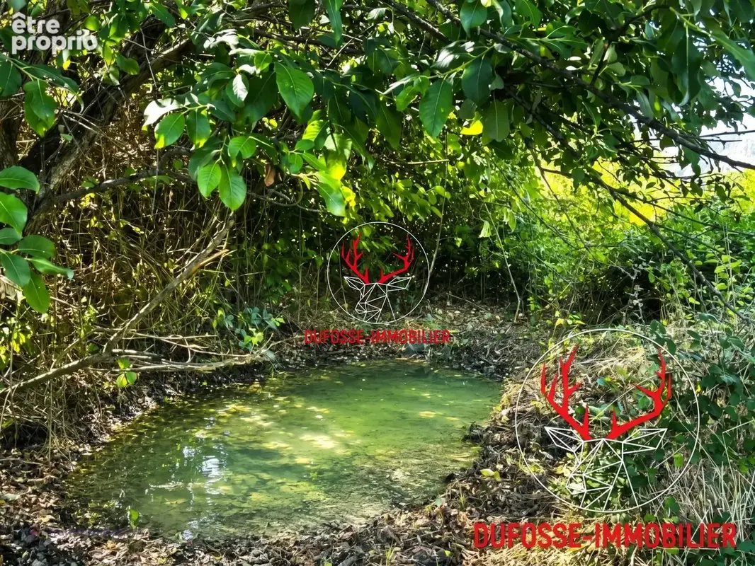 Terrain constructible et divisible avec vue panoramique - Cours (69470) - photo 6
