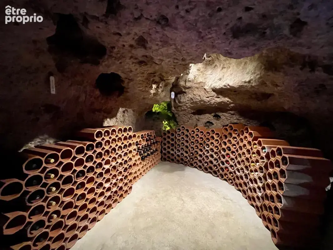 Maison Médiévale avec Tour, Caves et Puits - 4 chambres, cou - photo 21