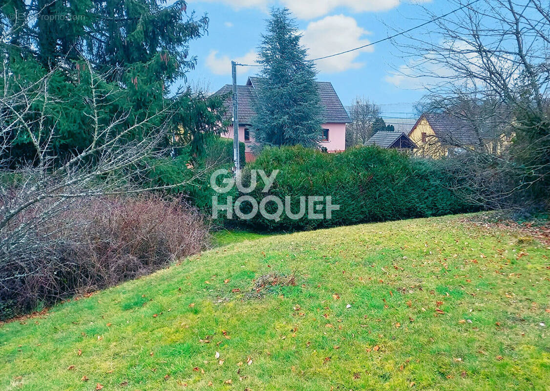 Terrain à ASPACH-LE-HAUT