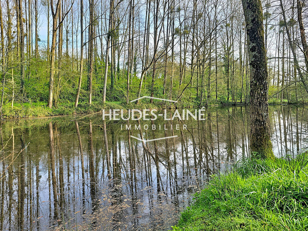 Terrain à SAINT-LOUP