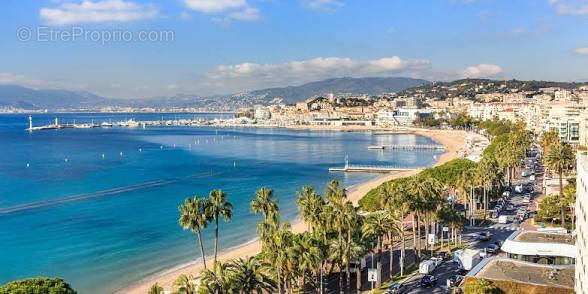Commerce à CANNES