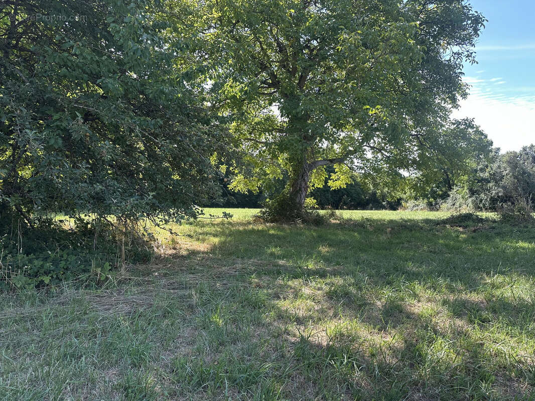 Terrain à bâtir ! - photo 8