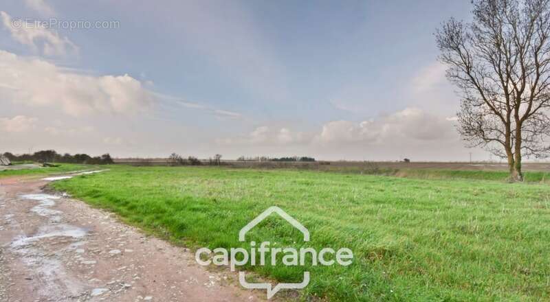 Ensemble  à vendre 1 pièces NUAILLE D'AUNIS (17)à vendre NUAILLE D'AUNIS, ensemble immobilier, d'une surface de 591,64 m2, le to - photo 3