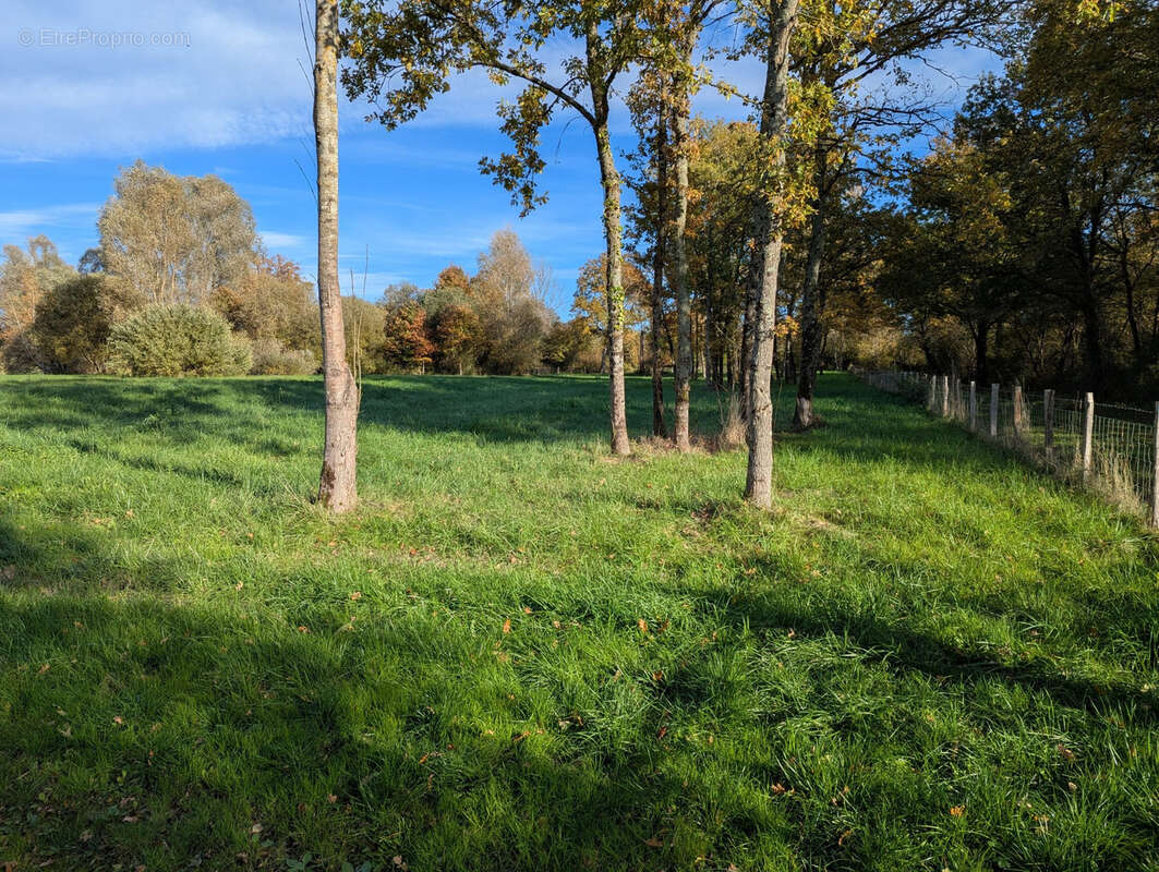 Terrain à LE CHATELET