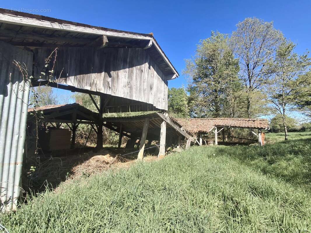 Grande maison familiale à rénover, grange, dépendances et plus de 2 hectares de terrain - photo 18
